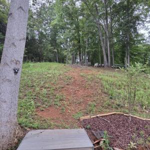 Bridgewater pic 1