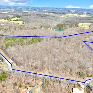 DJI_20260313142435_0022_D 2