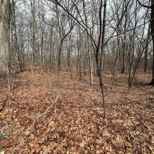 2-Wooded Acreage