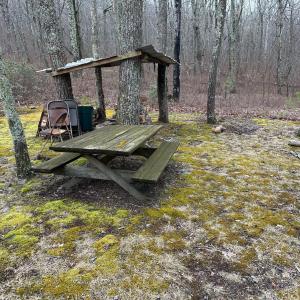 6-Picnic Area