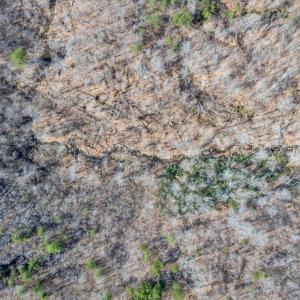 62-DJI_20260312030129_0308_D