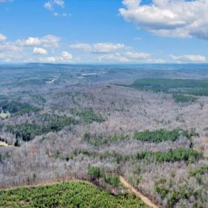 11-41-DJI_20260312024254_0291_D