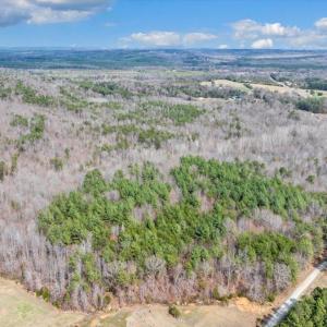 17-47-DJI_20260312025434_0298_D