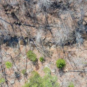 24-54-DJI_20260312030229_0311_D