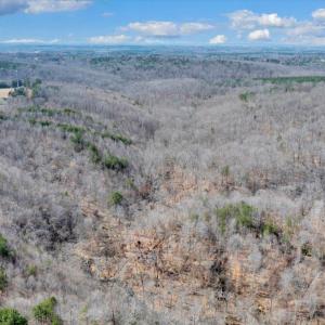 63-DJI_20260312030155_0309_D