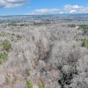 66-DJI_20260312030301_0312_D