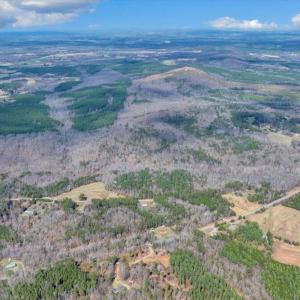 01-31-DJI_20260312025847_0302_D