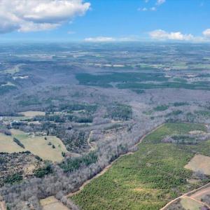 05-35-DJI_20260312022117_0254_D