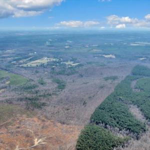 08-38-DJI_20260312022512_0258_D