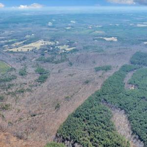 09-39-DJI_20260312022544_0259_D