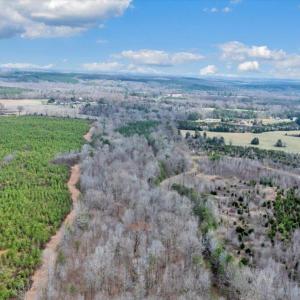 10-40-DJI_20260312024156_0290_D