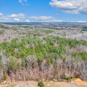 16-46-DJI_20260312025403_0297_D