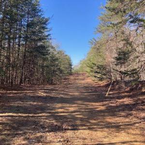 109 Acres 1