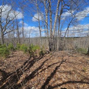 Affordable Lake Access