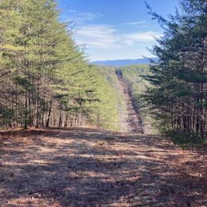 482 Acres 1