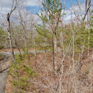 Kovalchuk photos - 4