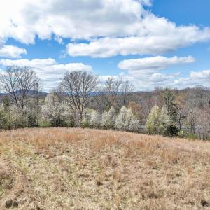 14-DJI_20260317135825_0052