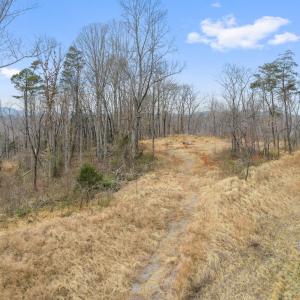 DJI_20260319151318_0224_D