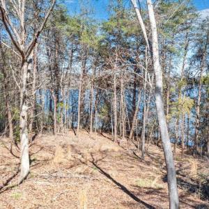 08-DJI_20260319023007_0198_D