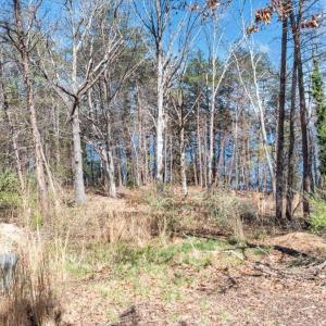 06-DJI_20260319022941_0195_D