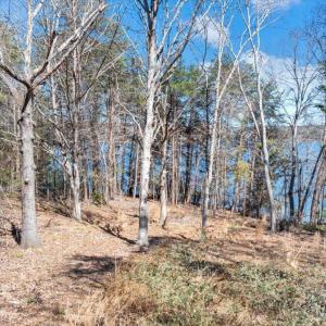 07-DJI_20260319022952_0196_D