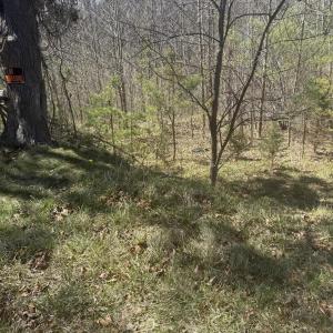 IMG_2025(1)