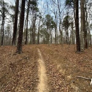 TIMBERVIEW ACCESS TRAIL