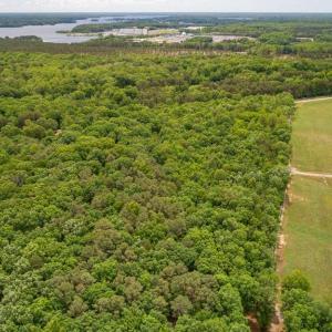 Photo #15 of OLD MILL RD, MINERAL, VA 9.2 acres
