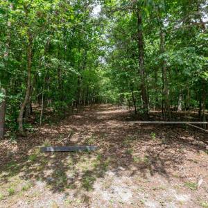 Photo #4 of OLD MILL RD, MINERAL, VA 9.2 acres
