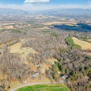 Blue Ridge - 4