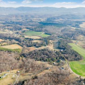 Blue Ridge - 20