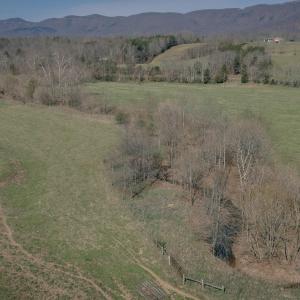 Rice property shot 10