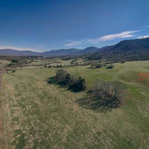 Rice property shot 9