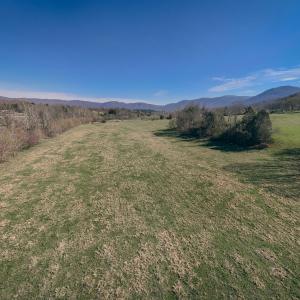 Rice property shot 8