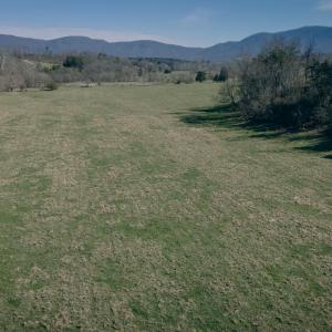 Rice property shot 7