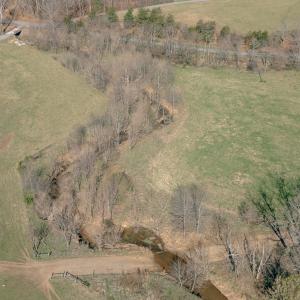 Rice property shot 5