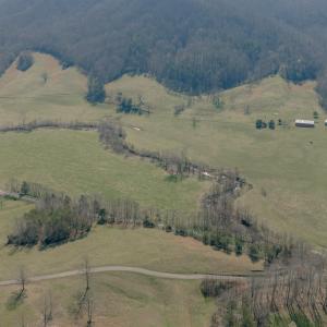 Rice property shot 3