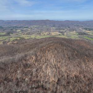 Rice property shot 12