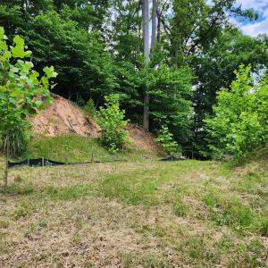 entrance Lot 64