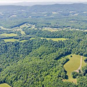 07-DJI_20250603103114_0211_D