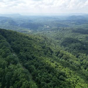 Wooded 10.3 Acres