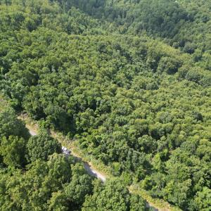 10.3 Acres