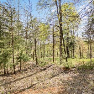 31-Lakestone Rd Lot-3