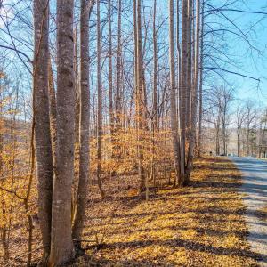 1fadabb6-7e56-4ef3-9ce1-4ea890182fef