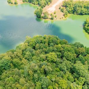 12-250 Montilago Dr_12