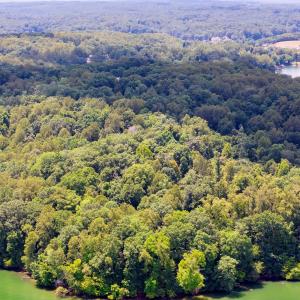 07-250 Montilago Dr_07