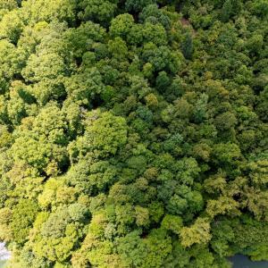 09-250 Montilago Dr_09