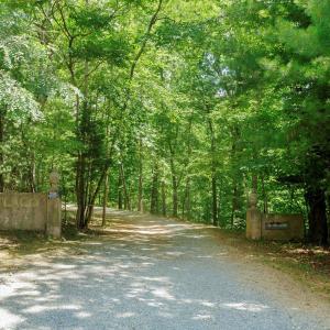 13-250 Montilago Dr_13