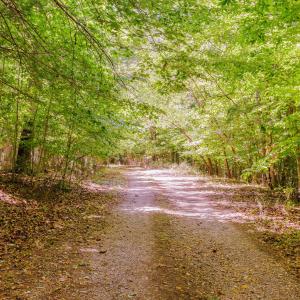 16-250 Montilago Dr_16