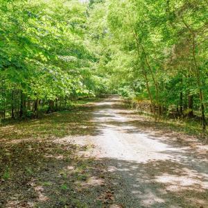 18-250 Montilago Dr_18